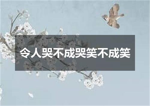 令人哭不成哭笑不成笑