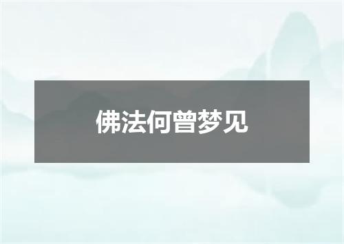 佛法何曾梦见