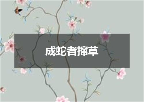 成蛇者撺草
