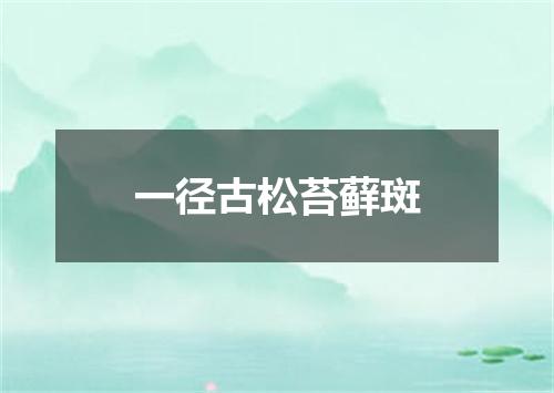 一径古松苔藓斑