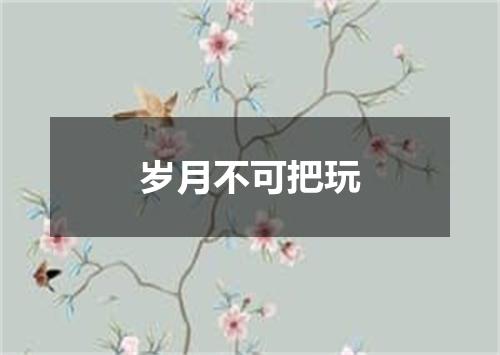 岁月不可把玩