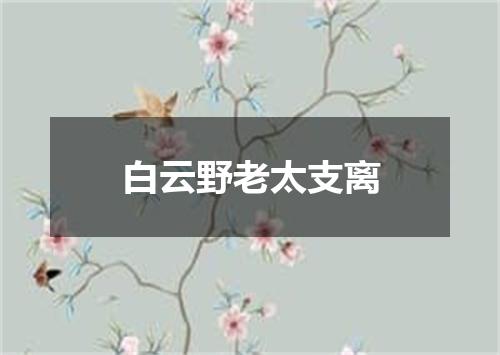 白云野老太支离