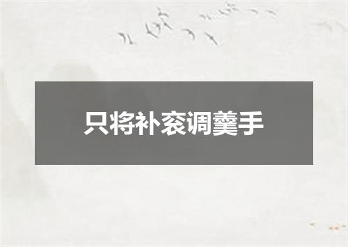 只将补衮调羹手