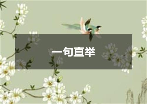 一句直举