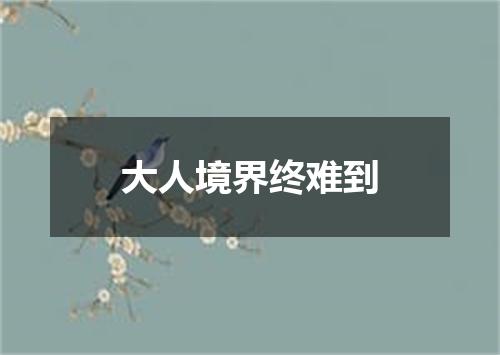 大人境界终难到