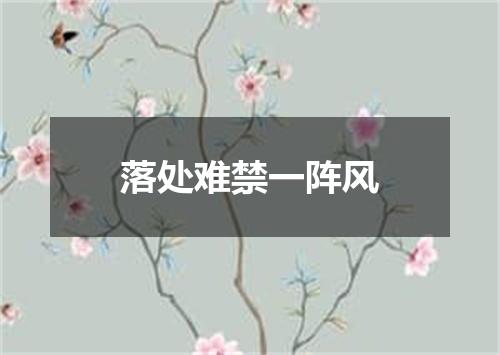 落处难禁一阵风
