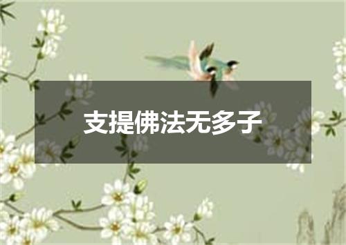支提佛法无多子