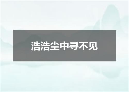浩浩尘中寻不见
