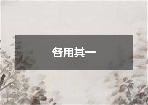 各用其一