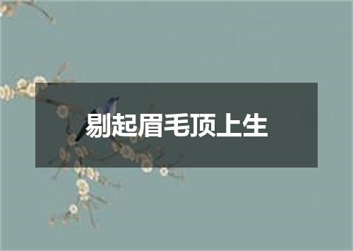 剔起眉毛顶上生