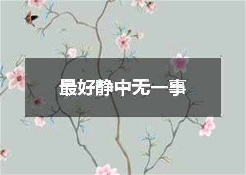 最好静中无一事