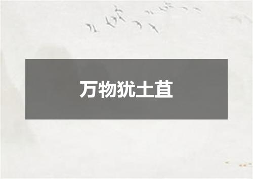 万物犹土苴