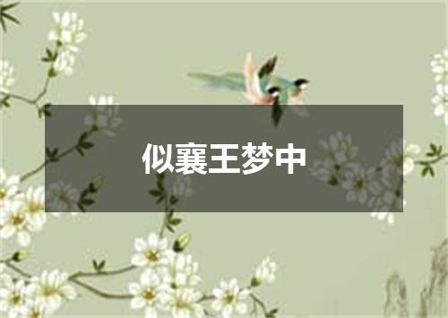 似襄王梦中