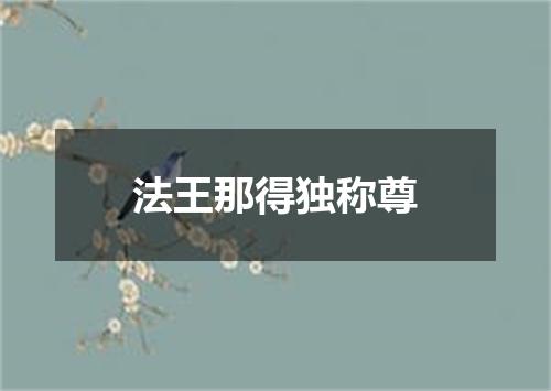 法王那得独称尊