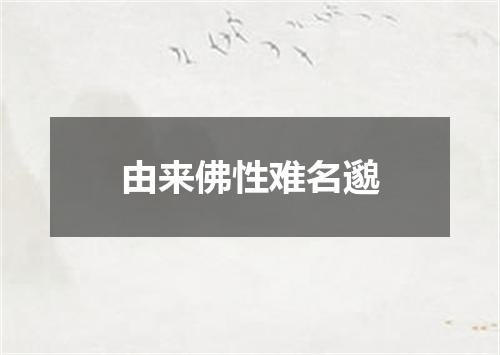 由来佛性难名邈