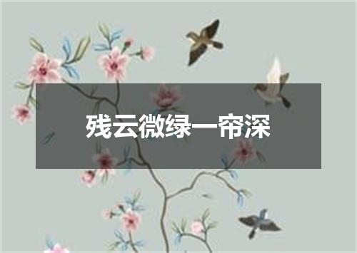 残云微绿一帘深