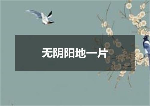 无阴阳地一片