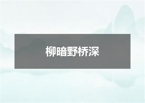 柳暗野桥深