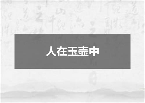 人在玉壶中