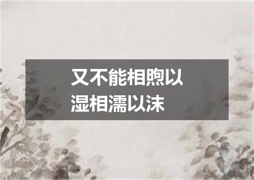 又不能相煦以湿相濡以沫