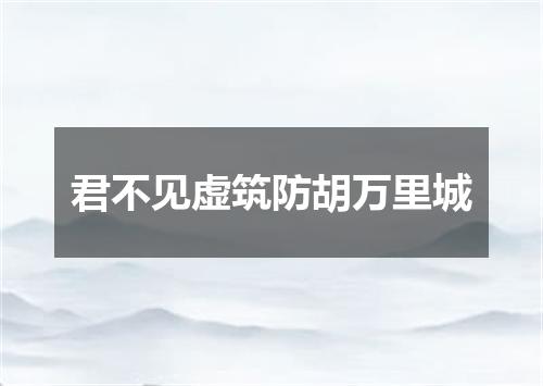 君不见虚筑防胡万里城