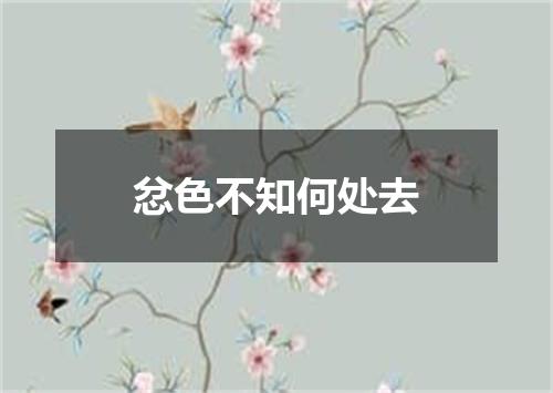 忿色不知何处去