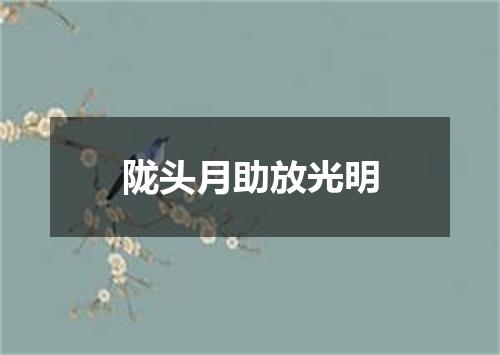 陇头月助放光明