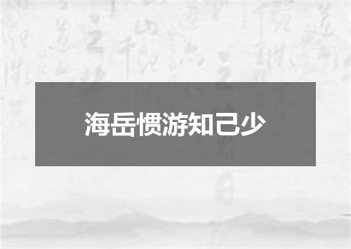 海岳惯游知己少