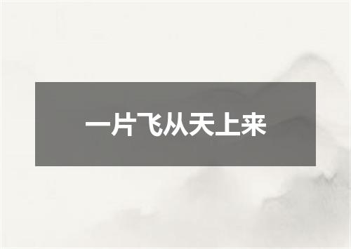 一片飞从天上来