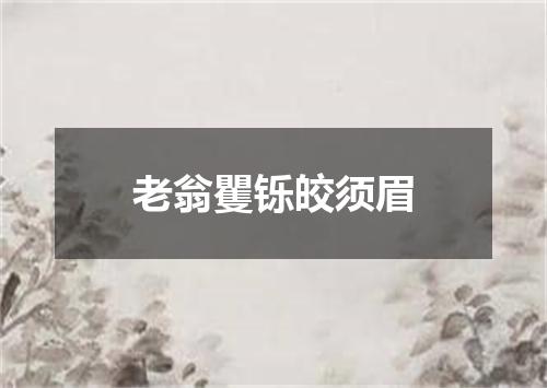 老翁矍铄皎须眉
