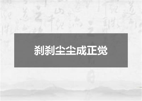 刹刹尘尘成正觉