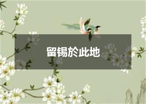 留锡於此地
