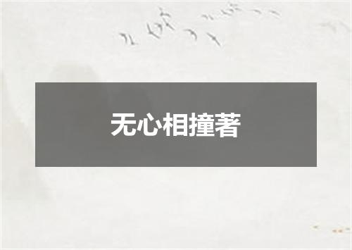 无心相撞著