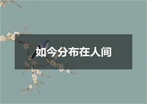 如今分布在人间