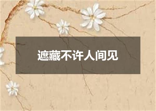 遮藏不许人间见