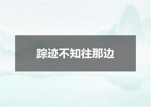 踪迹不知往那边