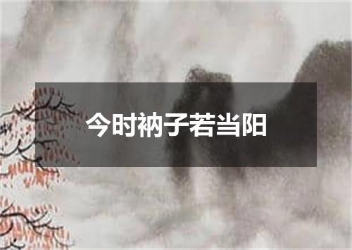 今时衲子若当阳