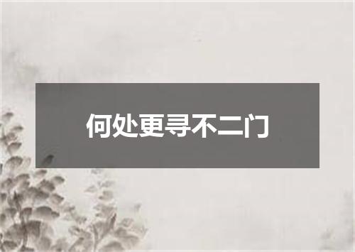 何处更寻不二门