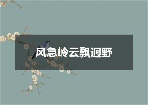 风急岭云飘迥野