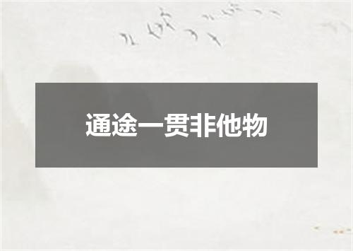 通途一贯非他物