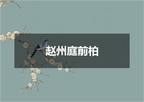 赵州庭前柏