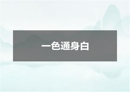 一色通身白