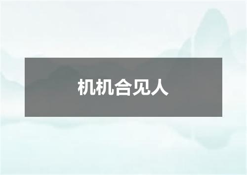 机机合见人