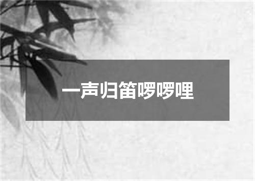 一声归笛啰啰哩