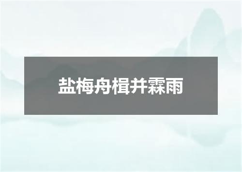 盐梅舟楫并霖雨