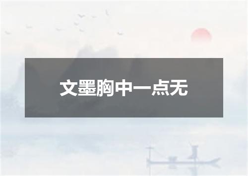 文墨胸中一点无