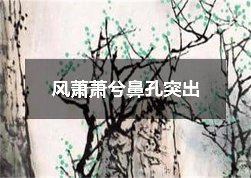 风萧萧兮鼻孔突出