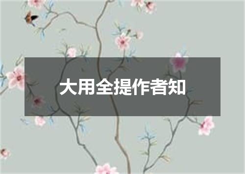 大用全提作者知
