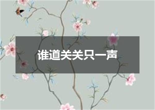谁道关关只一声
