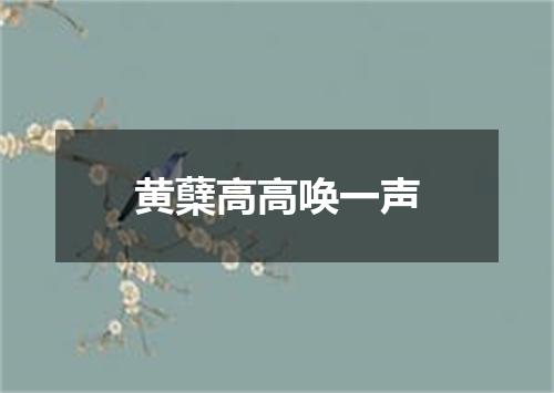 黄蘖高高唤一声